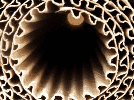 "BALZA" Przedsiębiorstwo Handlowo-Usługowe Robert Łabuś