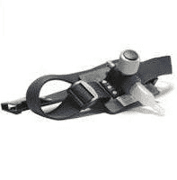 AVIS Anna Wiśniewska