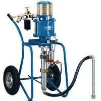 AVIS Anna Wiśniewska