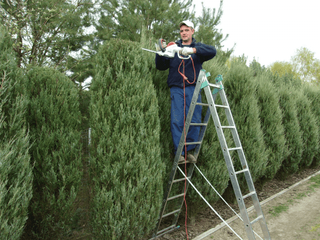 Art-Gard Artur Dąbek