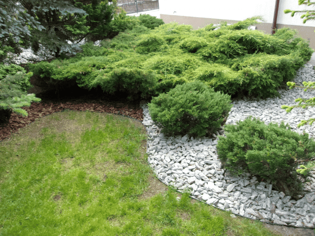 Art-Gard Artur Dąbek