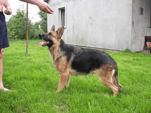 APORT Sławomir Surdacki