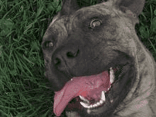 APORT Sławomir Surdacki