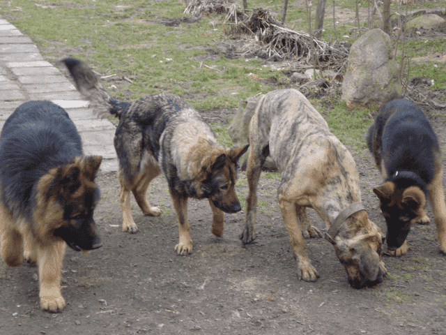 APORT Sławomir Surdacki