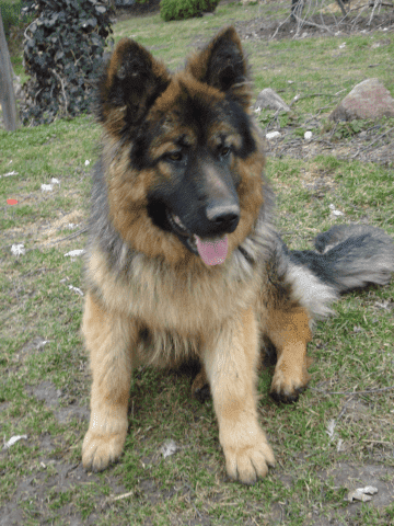 APORT Sławomir Surdacki