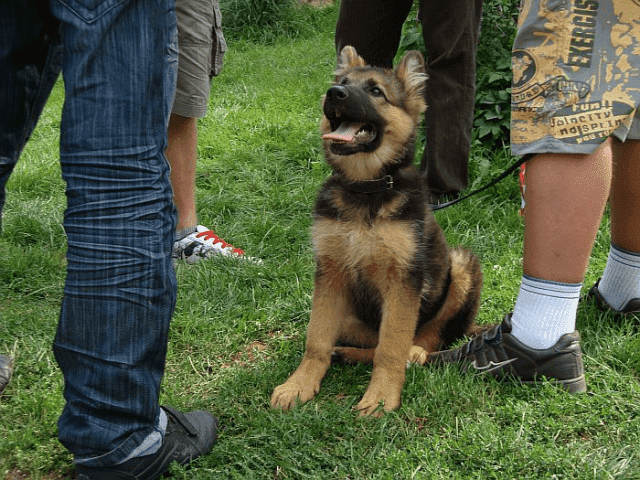 APORT Sławomir Surdacki