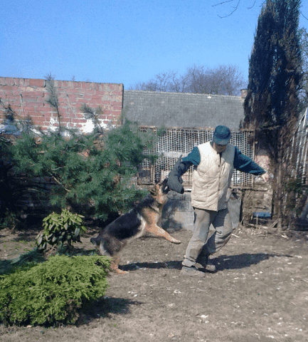 APORT Sławomir Surdacki