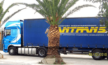 Antrans. Żygowski Andrzej