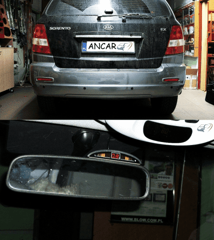 ANCAR ZHU Adam Niedzielski