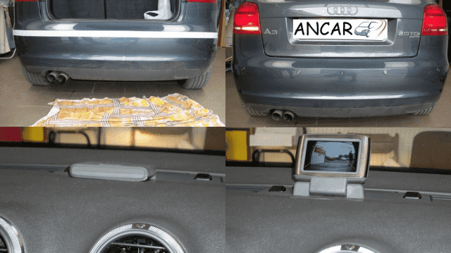 ANCAR ZHU Adam Niedzielski