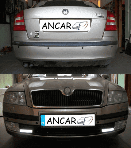 ANCAR ZHU Adam Niedzielski