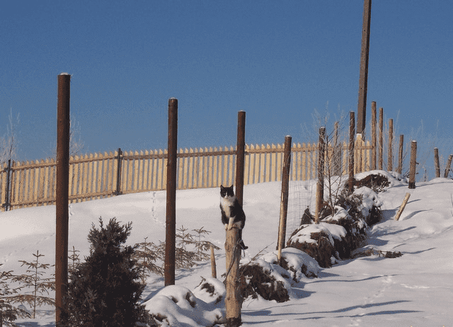 Zagroda Agroturystyczna WIECHA Ireneusz Kocbuch