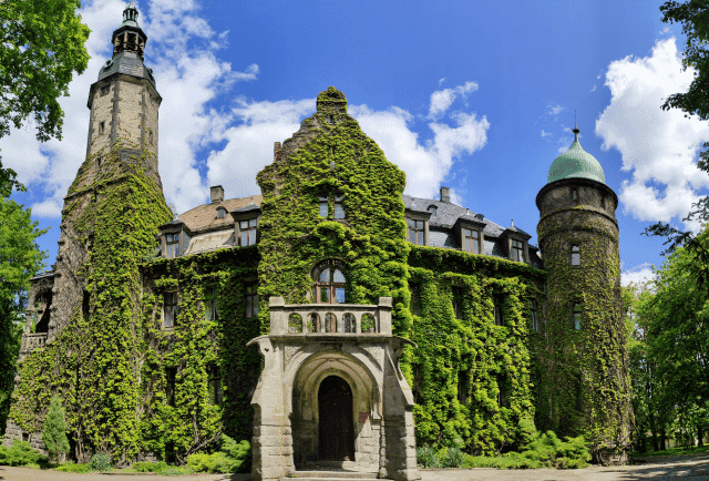 Hodowla Roślin Sobótka Sp. z o.o.