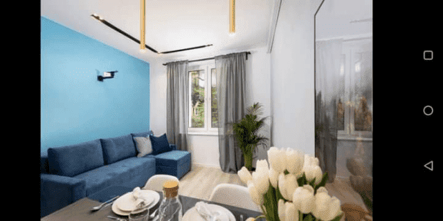 Gris-Bud Damian Jonkisz