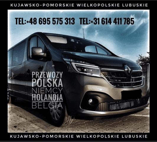 DJ- BUS Janusz Trafny