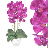 E-ROBSON ROBERT WYRAZ