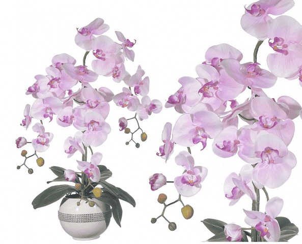 E-ROBSON ROBERT WYRAZ