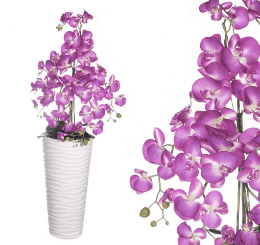 E-ROBSON ROBERT WYRAZ