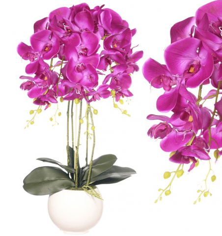 E-ROBSON ROBERT WYRAZ