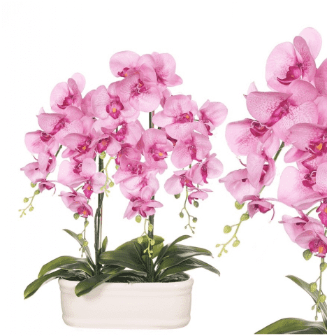 E-ROBSON ROBERT WYRAZ