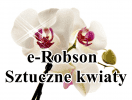 E-ROBSON ROBERT WYRAZ