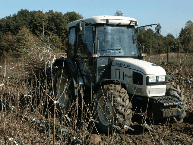 Szkółka Drzew, Krzewów Owocowych. Józef i Przemysław Kopeć