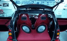 Car Media Robert Portacha