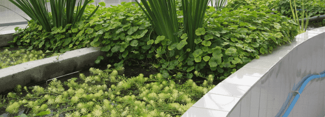 Biopax-WBWW Sp. z o.o.