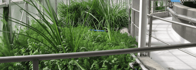 Biopax-WBWW Sp. z o.o.