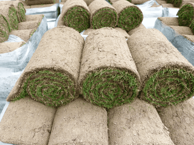  Firma Usługowo-Handlowa "TWÓJ OGRÓD" Piotr Gołda