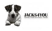 Jacks4You 
Hodowla Jack Russell Terrier