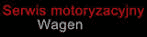 WAGEN SERWIS