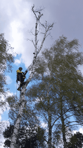 "Airwork" Mikołaj Kistowski