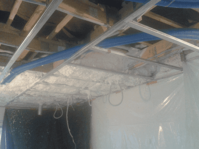 "EURO-PIANA" Wojciech Żerański