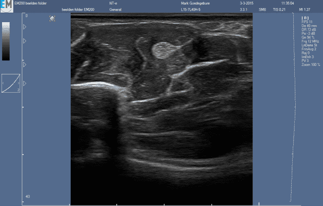 TELEMED-POLSKA Sławomir Górski