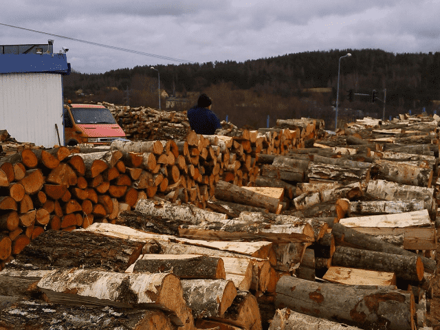 Zakład Usług Leśnych Miszke Artur Drewno Kominkowe i Opałowe