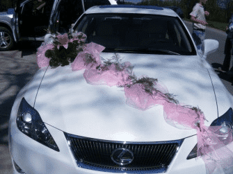 Kwiaciarnia "STEFANOTIS"