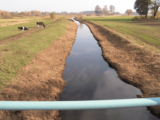 Związek Spółek Wodnych w Piotrkowie Trybunalskim