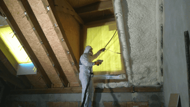 "Dam-Pur" Damian Wojciechowski