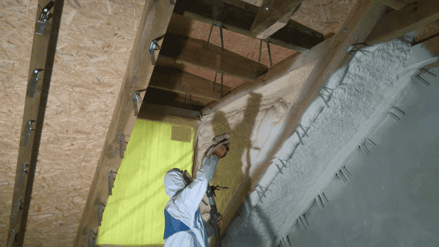 "Dam-Pur" Damian Wojciechowski