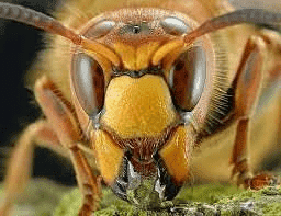 "Fach-Poż Service" Jacek Suszyński