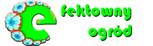 EFEKTOWNY OGRÓD