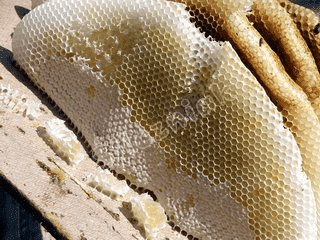 Gospodarstwo Pasieczne ULIK Irena i Marian Śliczniak