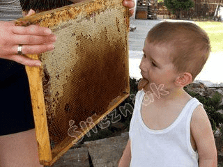 Gospodarstwo Pasieczne ULIK Irena i Marian Śliczniak