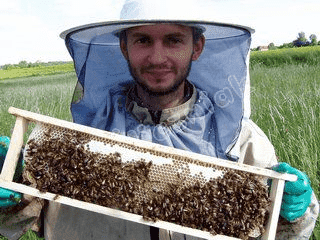 Gospodarstwo Pasieczne ULIK Irena i Marian Śliczniak