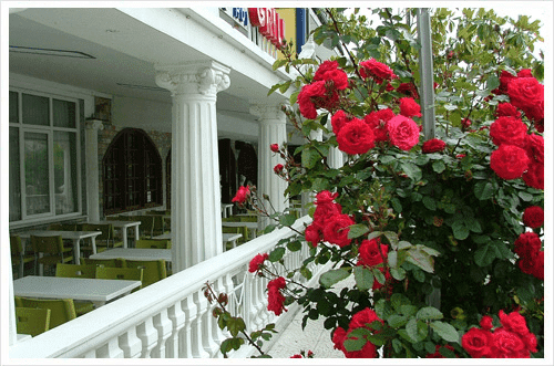 Biuro Podróży LINDA