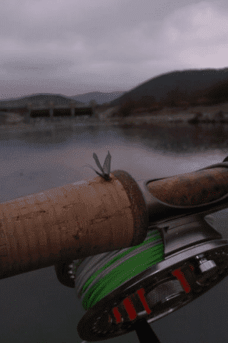 "Angler-Sport" Przedsiębiorstwo Produkcyjno-Handlowo-Usługowe