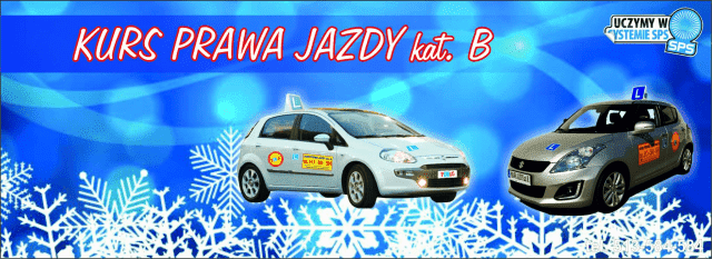 Akademia Bezpiecznej Jazdy Plus Michał Mieszkowski