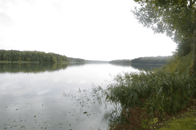 REGIONALNE CENTRUM PROFILAKTYKI UZALEŻNIEŃ DLA DZIECI I MŁODZIEŻY W ROGOŹNIE