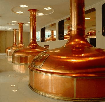 Biuro Podróży Bohemia Travel